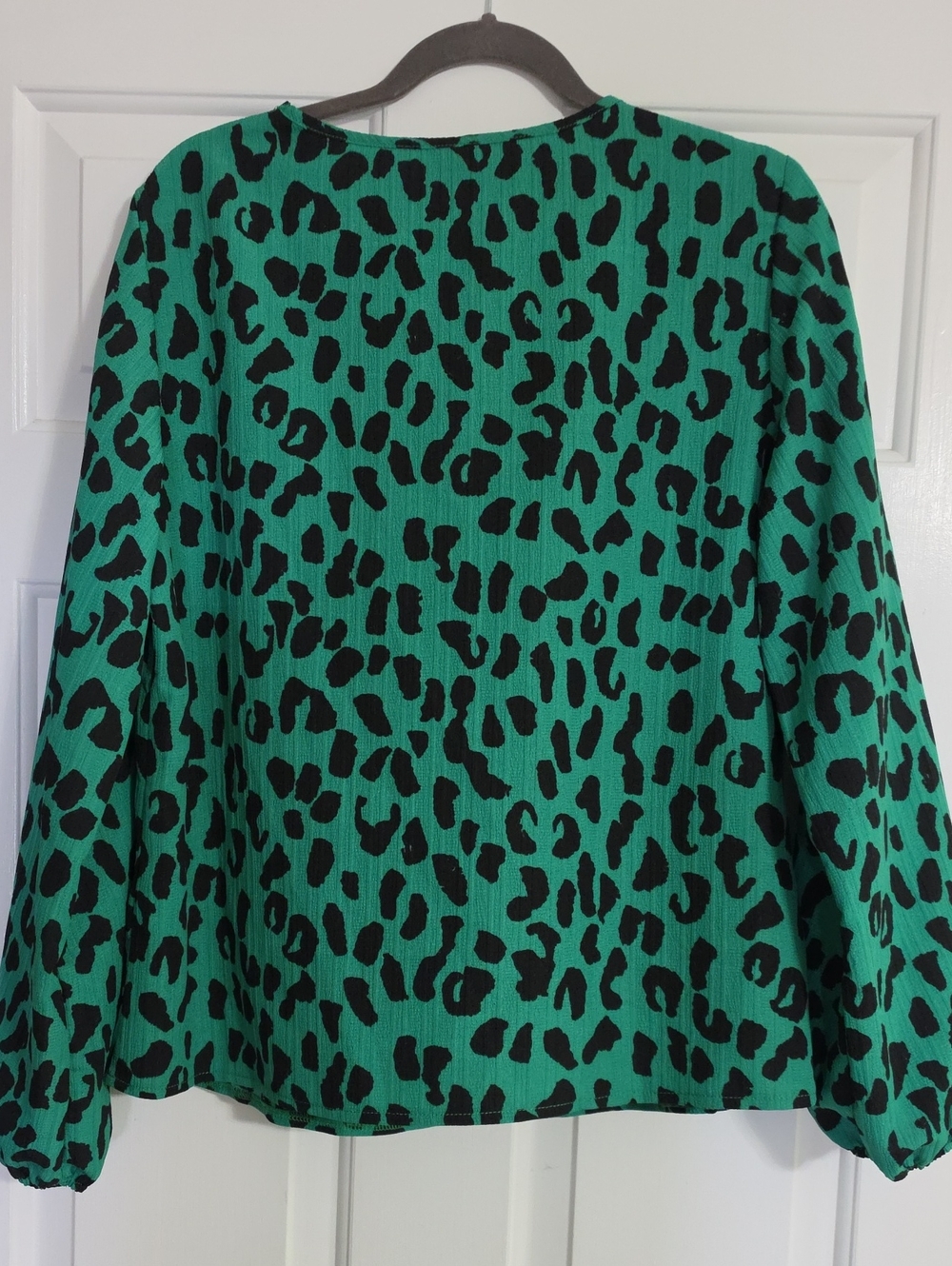 Green Animal Print V-Neck Long Sleeve Top - Picture 4 of 5